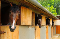 free Monemore stable construction quotes